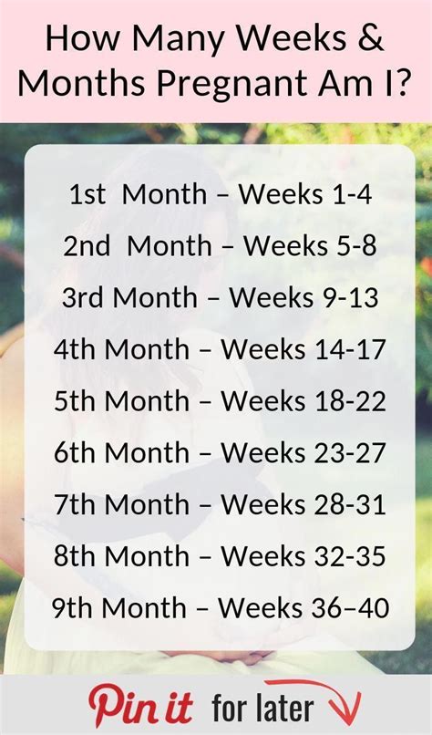 How many weeks or how long to go until 20th October 2023 - as of 29th February 2024, was 19 weeks ago. Language: en | fr | es | de | it | nl. Login | Signup. How many weeks until 20th October ... Working days until 20 October 2023. On This Day In History. 1967 - Thousands join anti-war movement.